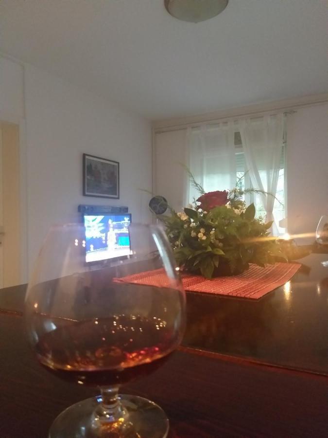 Апартаменти Apartman Nv Врнячка-Баня Екстер'єр фото